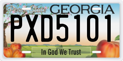 GA license plate PXD5101