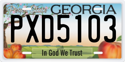 GA license plate PXD5103