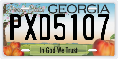 GA license plate PXD5107