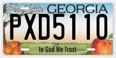 GA license plate PXD5110