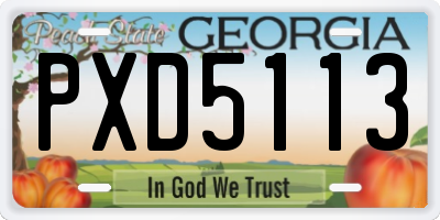 GA license plate PXD5113