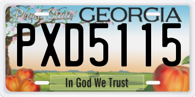 GA license plate PXD5115