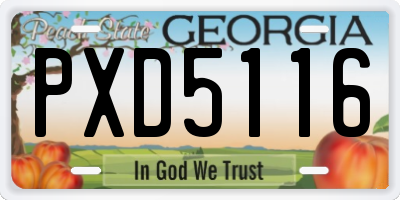 GA license plate PXD5116