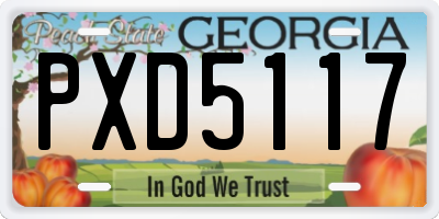 GA license plate PXD5117