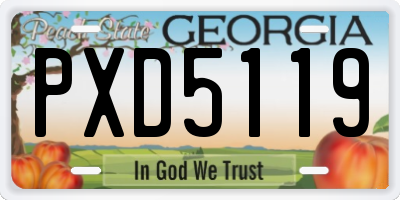 GA license plate PXD5119