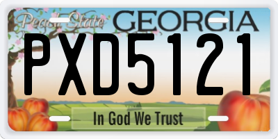 GA license plate PXD5121