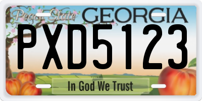 GA license plate PXD5123
