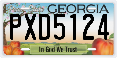 GA license plate PXD5124
