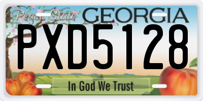 GA license plate PXD5128