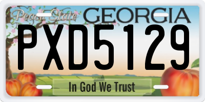 GA license plate PXD5129