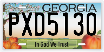 GA license plate PXD5130