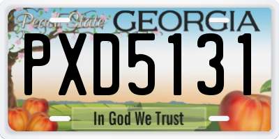 GA license plate PXD5131