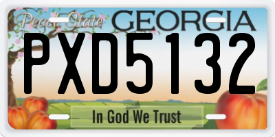 GA license plate PXD5132