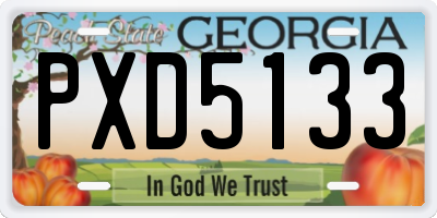 GA license plate PXD5133