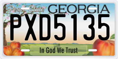 GA license plate PXD5135