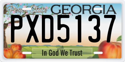 GA license plate PXD5137