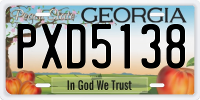 GA license plate PXD5138