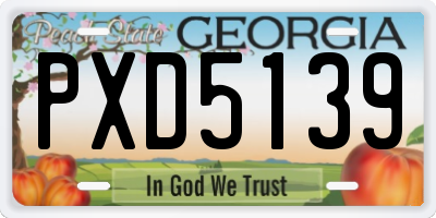 GA license plate PXD5139