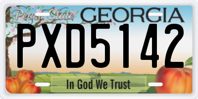 GA license plate PXD5142