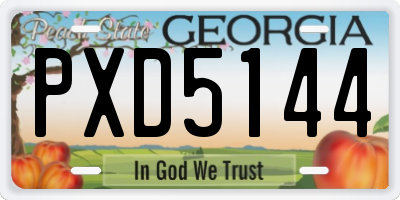GA license plate PXD5144