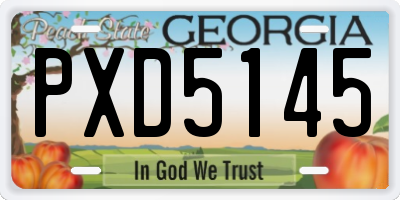 GA license plate PXD5145