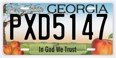 GA license plate PXD5147