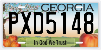 GA license plate PXD5148