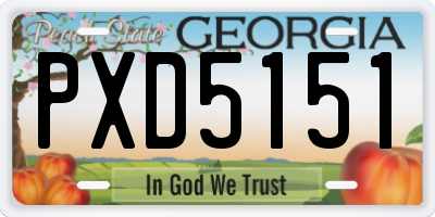 GA license plate PXD5151