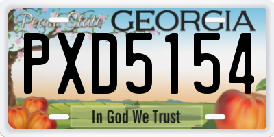 GA license plate PXD5154
