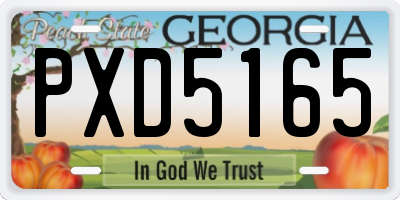 GA license plate PXD5165