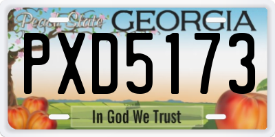 GA license plate PXD5173