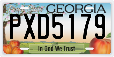 GA license plate PXD5179