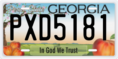 GA license plate PXD5181