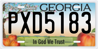 GA license plate PXD5183
