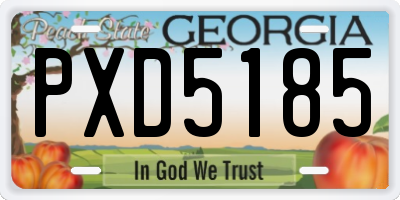 GA license plate PXD5185