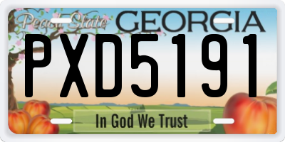 GA license plate PXD5191