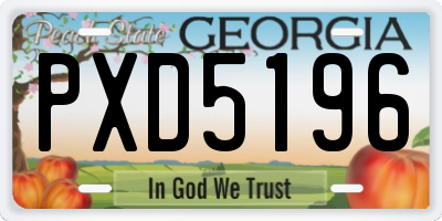 GA license plate PXD5196