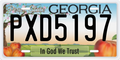 GA license plate PXD5197