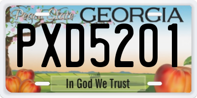 GA license plate PXD5201