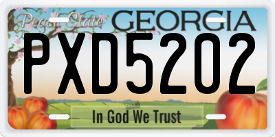 GA license plate PXD5202