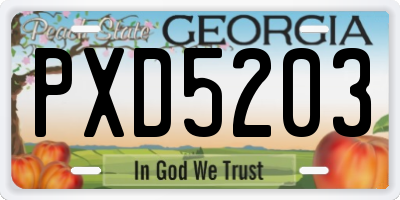 GA license plate PXD5203