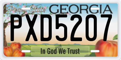 GA license plate PXD5207