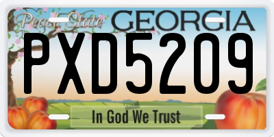 GA license plate PXD5209