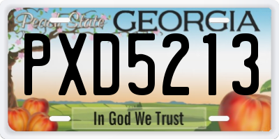 GA license plate PXD5213