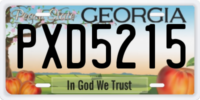 GA license plate PXD5215