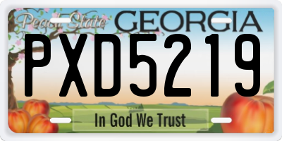 GA license plate PXD5219