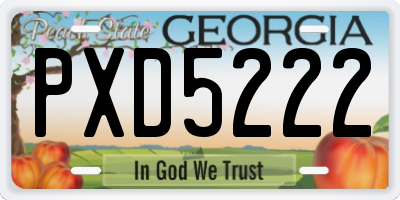 GA license plate PXD5222