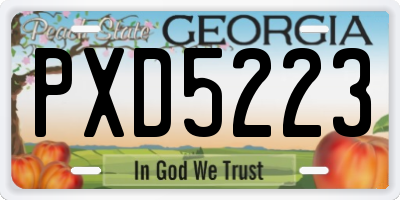 GA license plate PXD5223