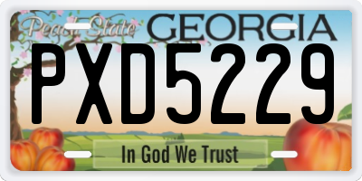 GA license plate PXD5229
