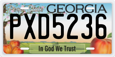 GA license plate PXD5236